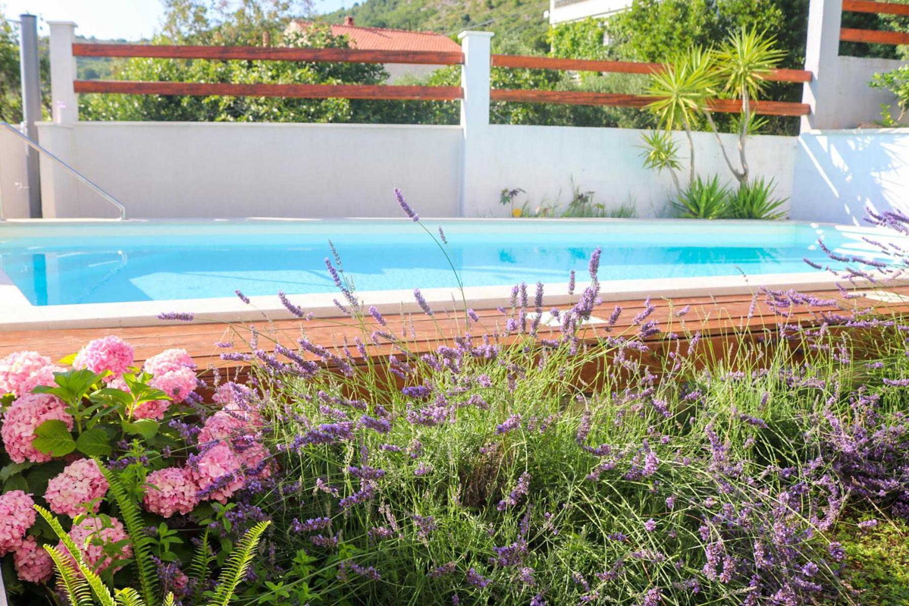 Villa My Rose With A Private Pool Mlini Kültér fotó