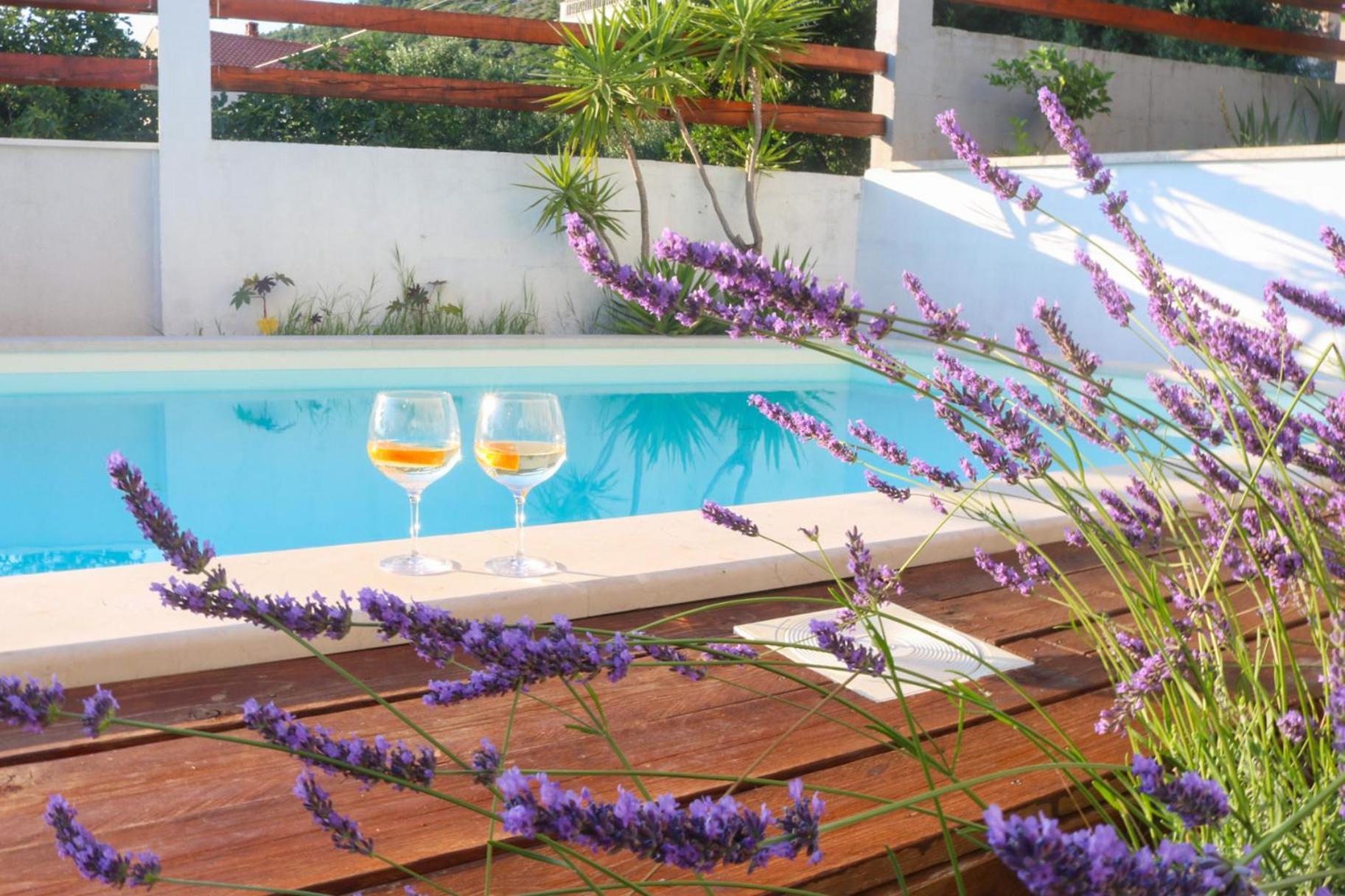 Villa My Rose With A Private Pool Mlini Kültér fotó